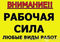 Предложение: Трезвые Разнорабочие Омск все районы