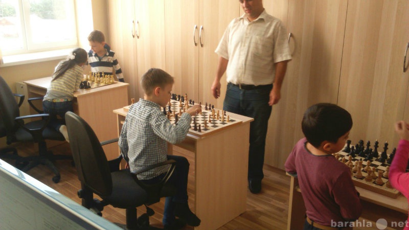 Предложение: Шахматы для детей