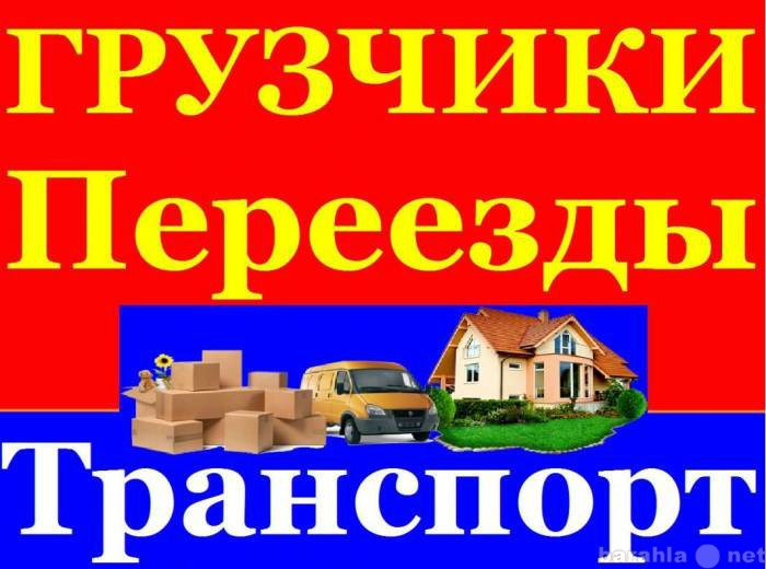 Предложение: грузчики 89380773070