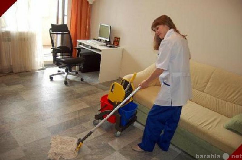 Предложение: Профессиональная уборка квартир недорого