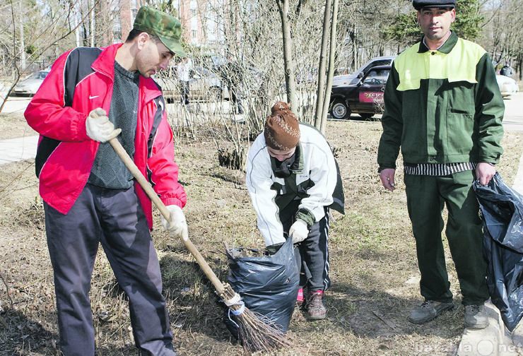 Предложение: Вынос,спуск,вывоз и уборка мусора и снег