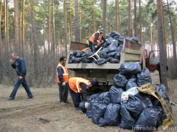 Предложение: Уборка территории , снега ,вывоз мусора 