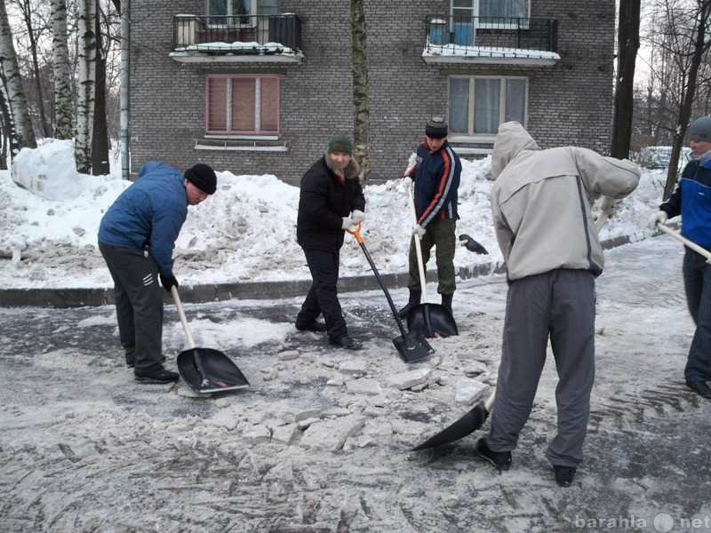 Предложение: Уборка,вынос,спуск,вывоз мусора и снега!