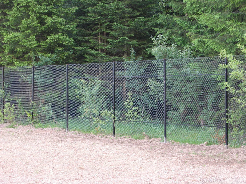 Предложение: Забор из сетки рабица.