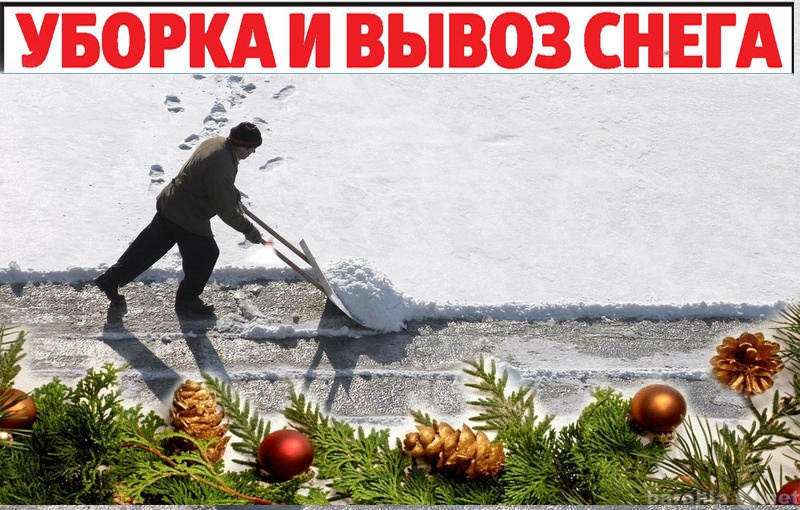 Предложение: Уборка и вывоз снега