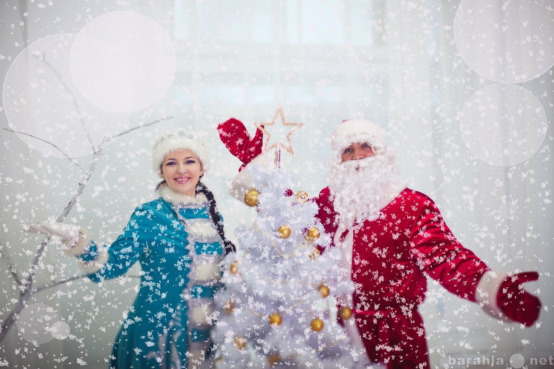 Предложение: Поздравление от Деда Мороза и Снегурочки
