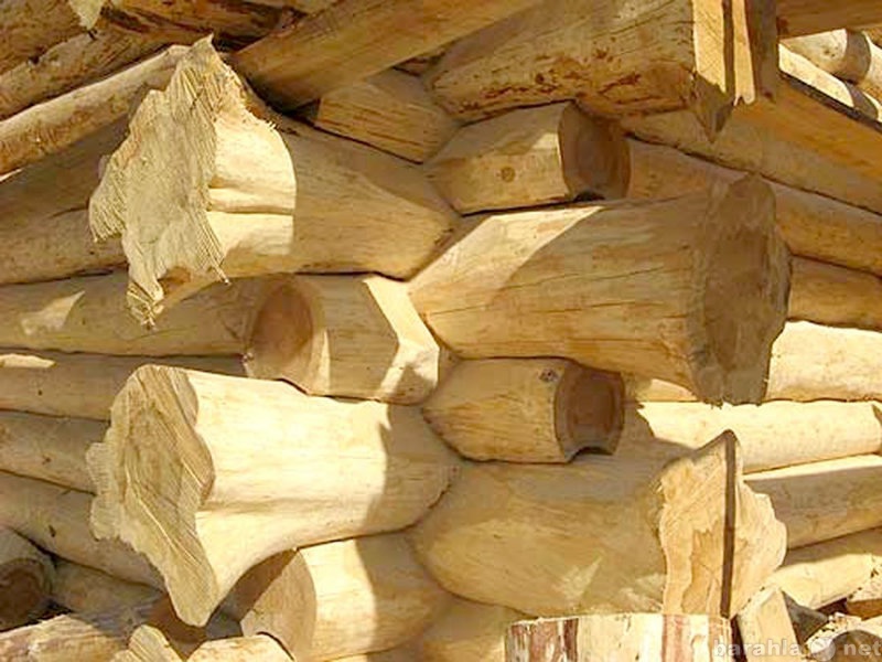 Предложение: Рубщики деревянных домов