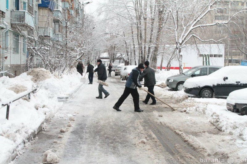 Предложение: Выносим,вывозим и убираем мусор,снег!