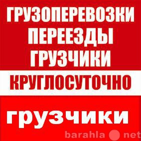 Предложение: Услуги грузчиков погрузка разгрузка фур