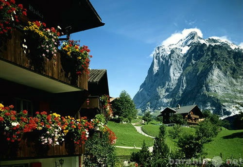 Предложение: Отдых в Швейцарии
