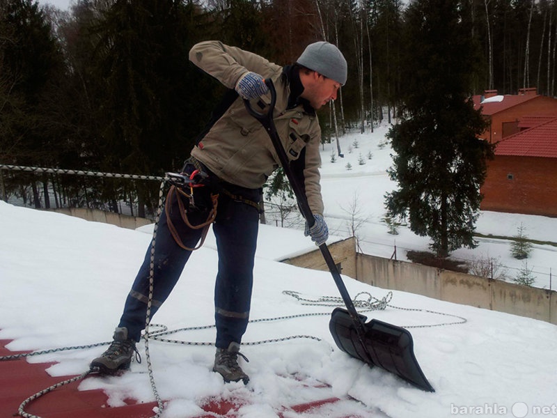 Предложение: Выносим,вывозим и убираем мусор,снег!