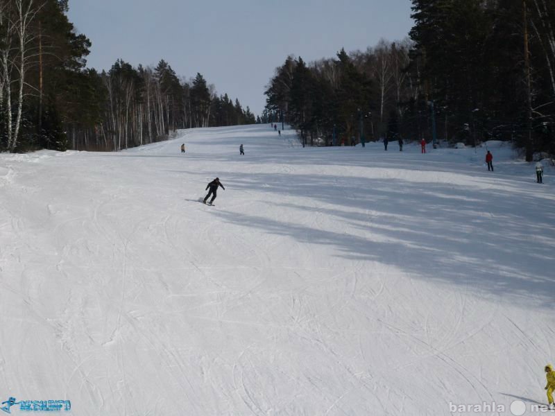 Предложение: отдых за городом