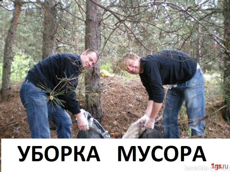 Предложение: Уборка территории.Вывоз мусора!!!