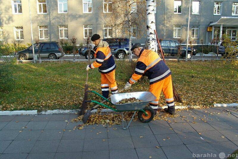 Предложение: Уборка территории!!!!!! Уборка снега!!!!