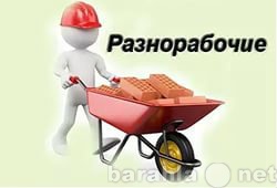 Предложение: 9535680911 услуги разнорабочих - 1200р