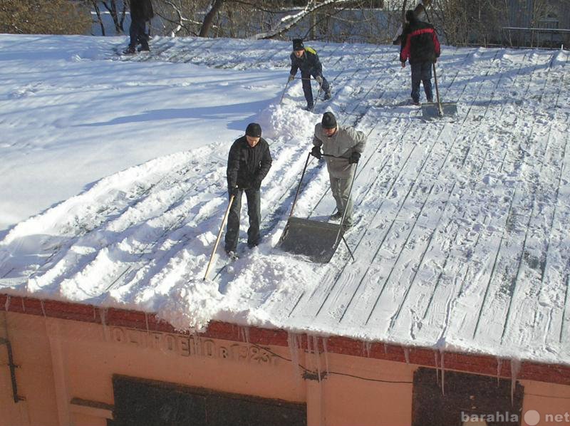 Предложение: уборка мусора,снега на любой площади