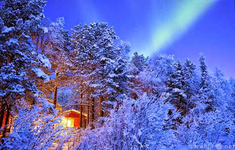 Предложение: Зимний туризм в Финляндии