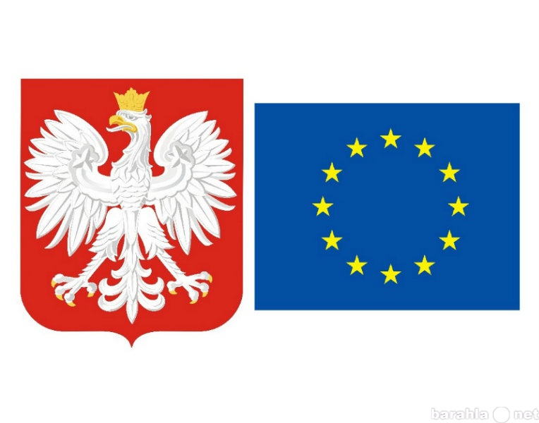 Предложение: Помощь гражданам и фирмам в Польше