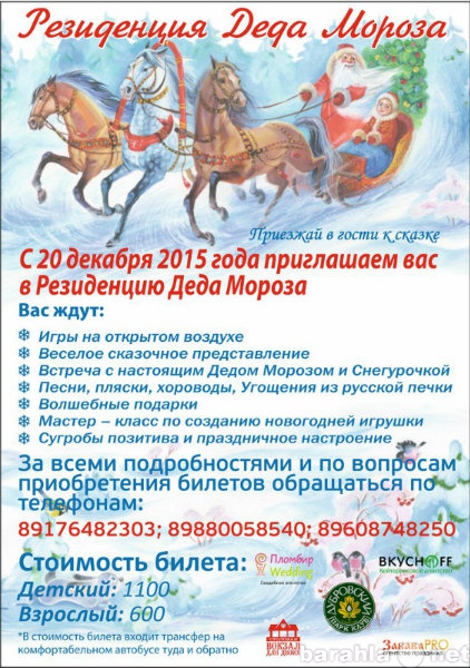 Предложение: Резиденция Деда Мороза в Волгограде