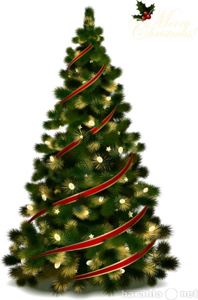 Предложение: Доставим новогоднюю живую елку к вам