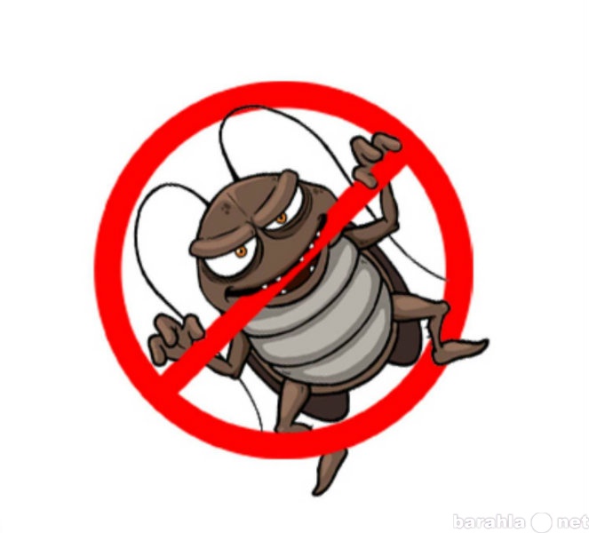 Предложение: Уничтожение насекомых тараканы, клопы...