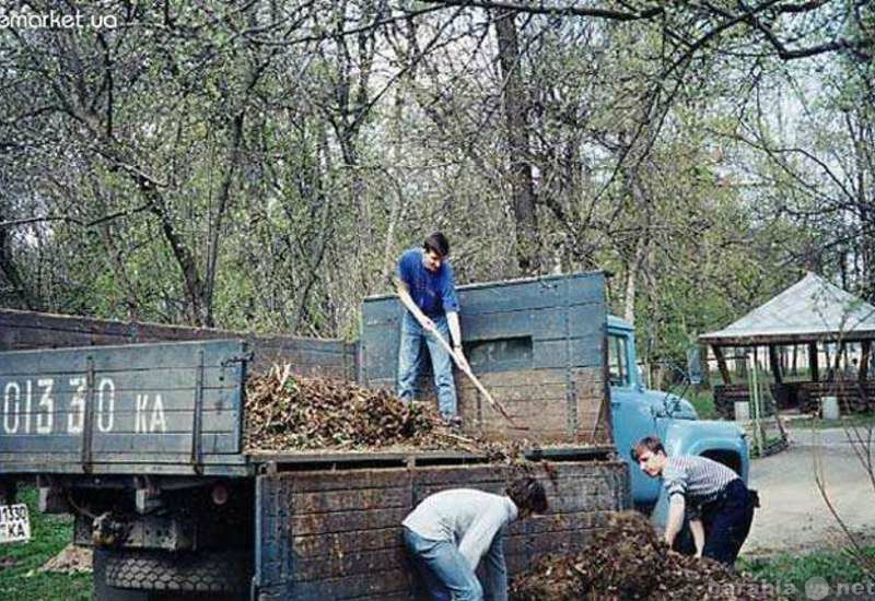 Предложение: Уборка территорий от мусора и снега.