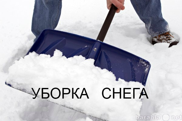 Предложение: Уборка снега !