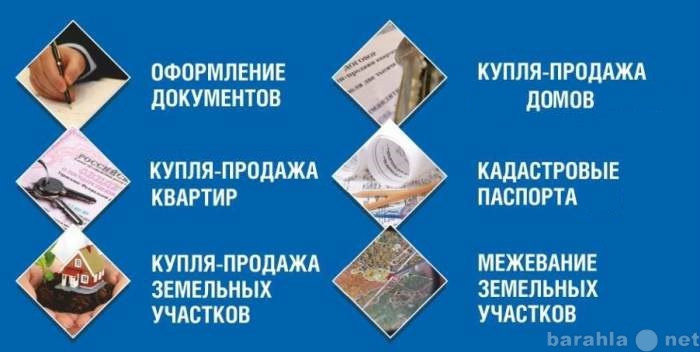 Предложение: Консультация и практическая помощь