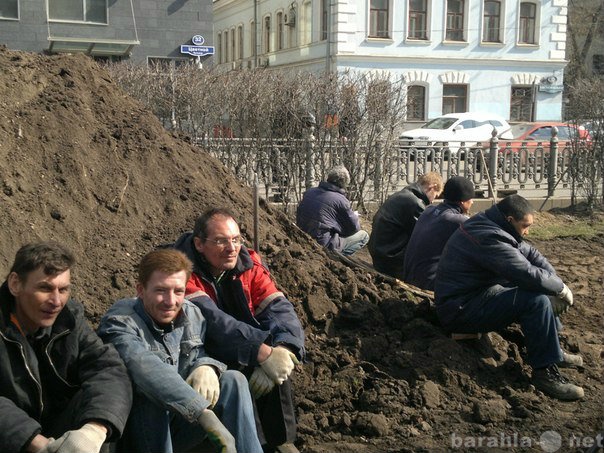 Предложение: ТРЕЗЫВЫЕ подсобные рабочие, грузчики РФ