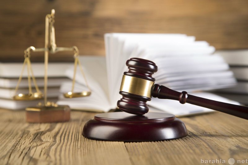 Предложение: Адвокат по ведению дел в арбитражном суд