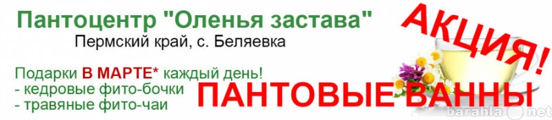 Предложение: Оздоровительные туры в "Оленью зас