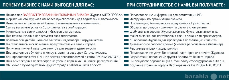 Предложение: БИЗНЕС с товарным знаком AUTO ПРОБКА