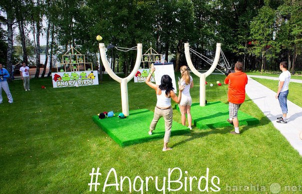 Предложение: Angry Birds рогатка на праздник