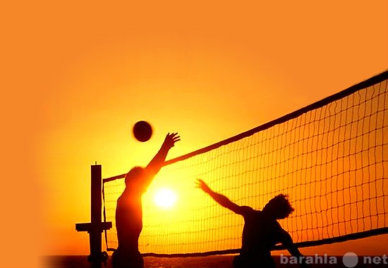 Предложение: Секция по волейболу для взрослых