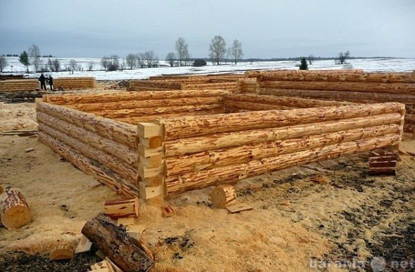 Предложение: Строительство деревянных домов, бань