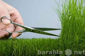 Предложение: Покос травы (скос травы, кошение травы)