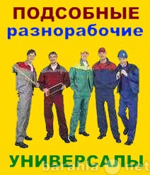 Предложение: Услуги разнорабочих уборка и вывоз хлама