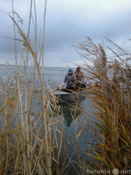 Предложение: рыбалка и охота в Каневском районе