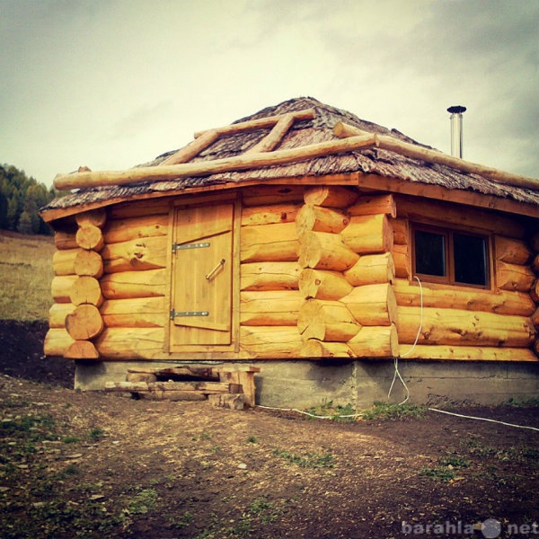Предложение: Срубы домов и бань из Алтайского Кедра.