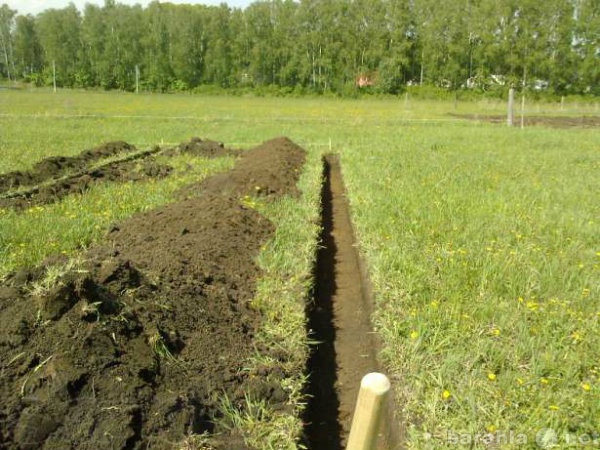 Предложение: Копка огородов, благоустройство