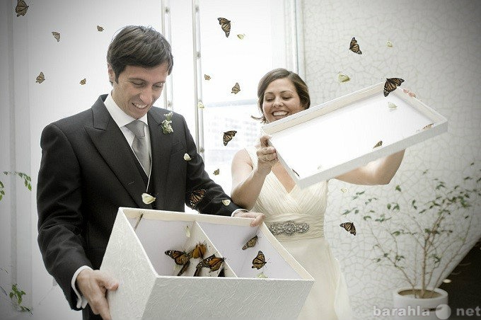 Предложение: Салют из бабочек на свадьбу