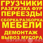 Предложение: Подъем стройматериалов на этаж.Грузчики