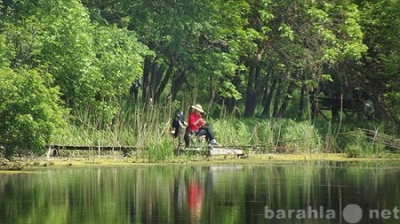 Предложение: Рыбалка в ст.Динской отдых летом