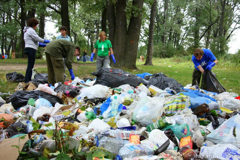 Предложение: уборка территории, вывоз мусора