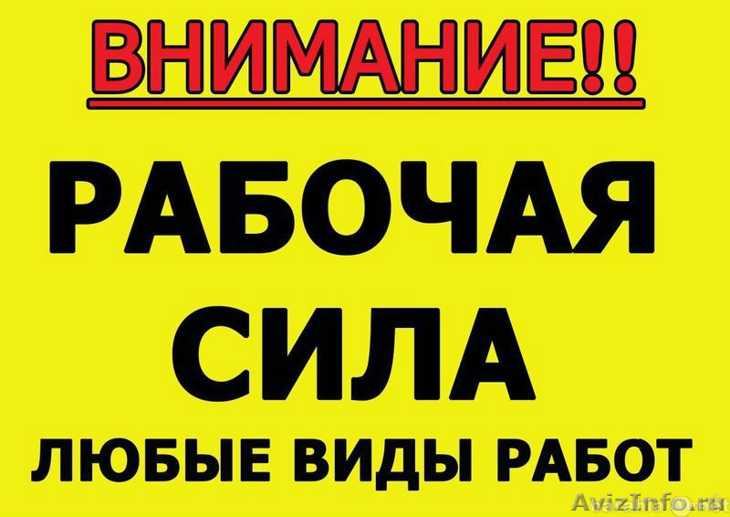 Предложение: Помощь по саду, даче. Благоустройство