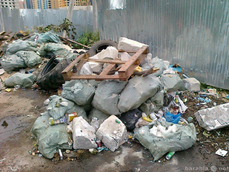 Предложение: Вывоз и уборка мусора