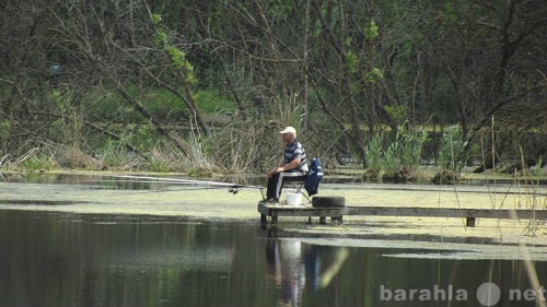 Предложение: Рыбалка в Краснодарском крае летом