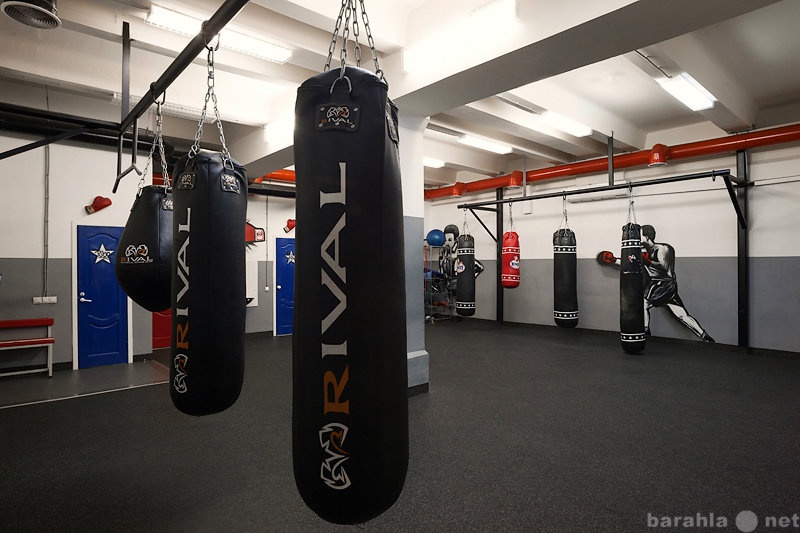 Предложение: Безопасные тренировки по боксу