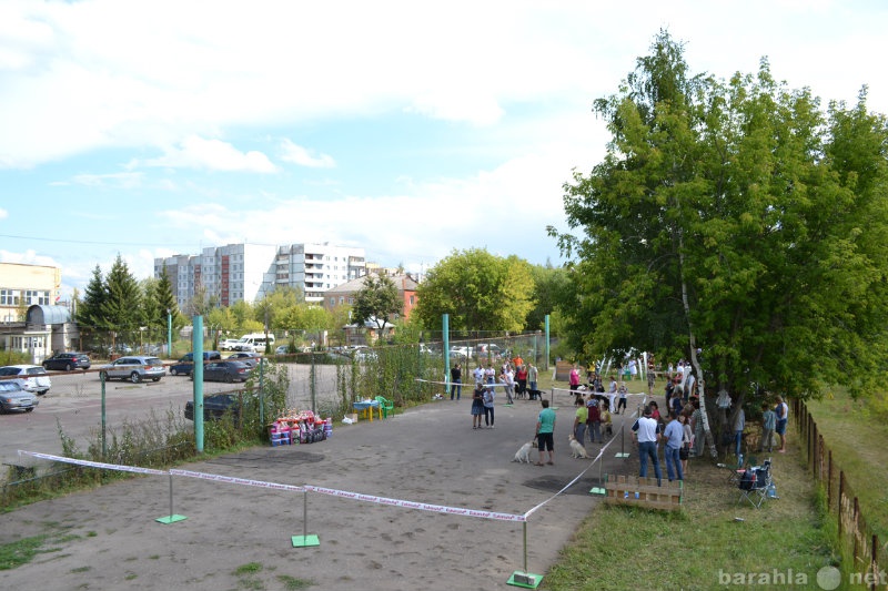 Предложение: Дрессировочная площадка в центре Иванова