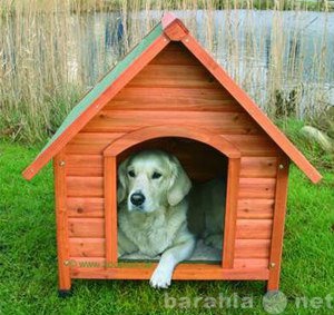 Предложение: Дом для вашей собаки